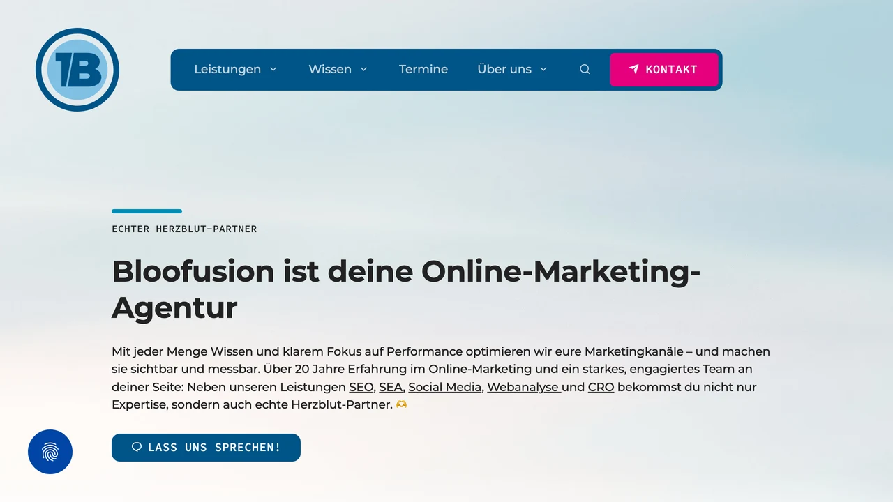 Screenshot der Website von Bloofusion
