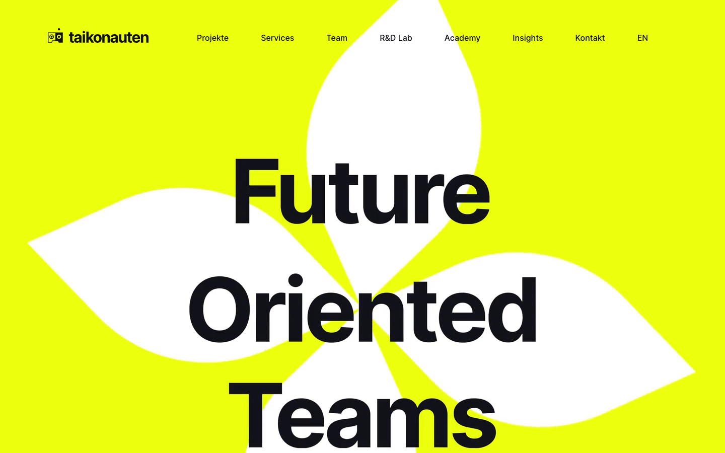 Screenshot der Website von Taikonauten